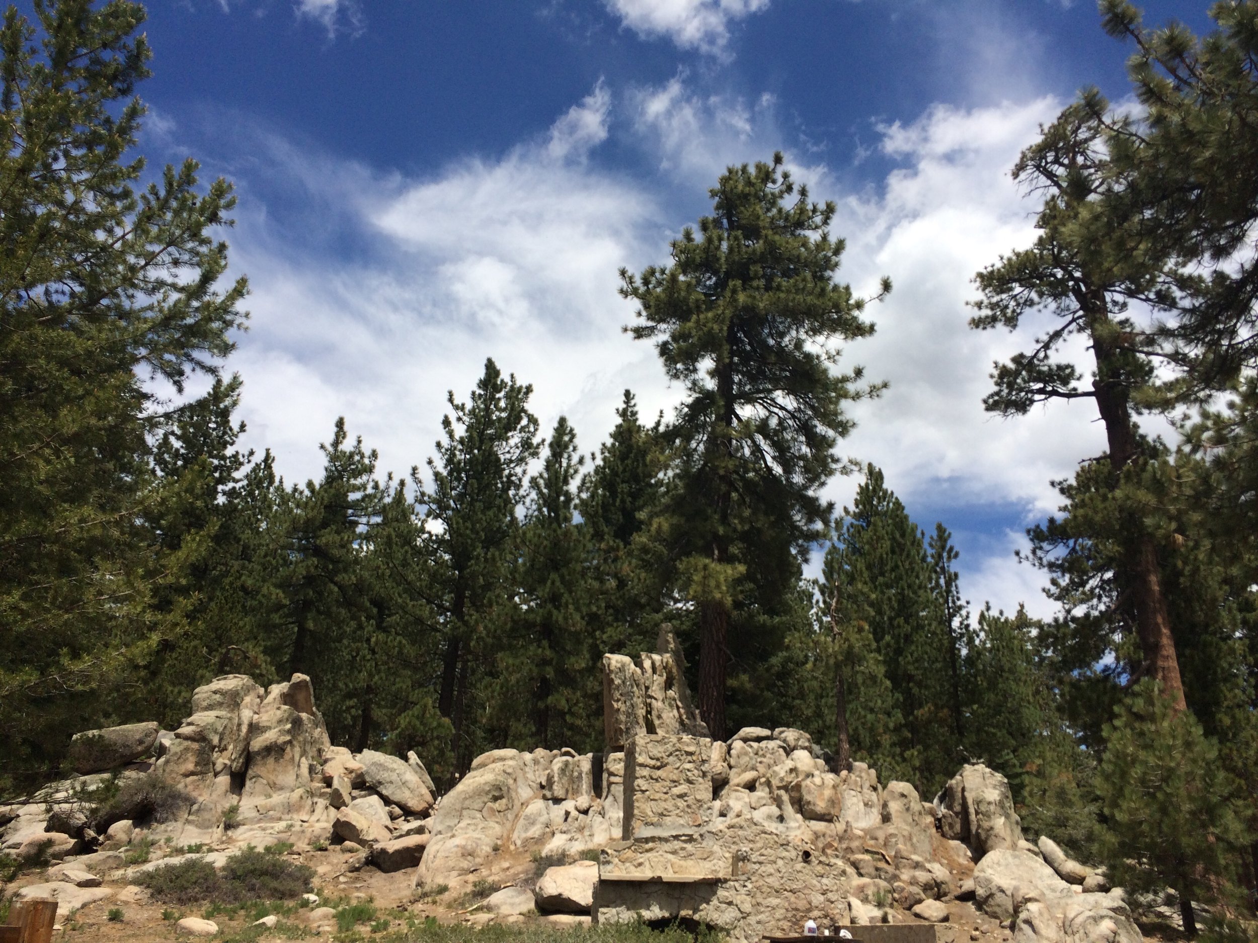 Bluff Lake Reserve — Old-Growth Forest Network